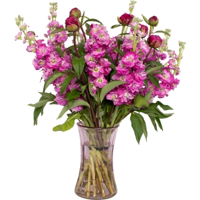 Peony and Stocks Vase