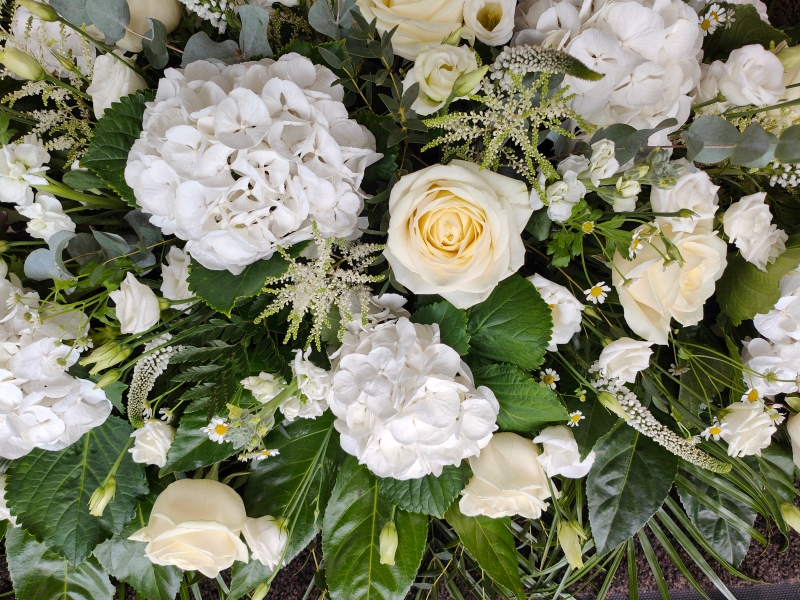 White Hydrangea & Rose Casket Spray