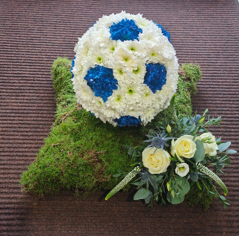 3D Football Moss Base