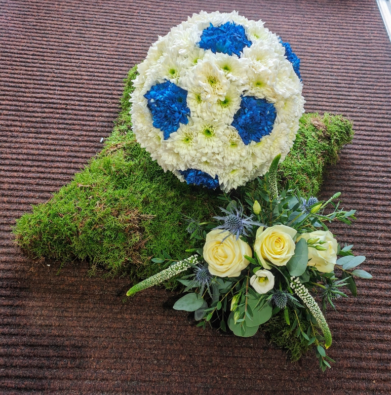 3D Football Moss Base