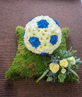 3D Football Moss Base