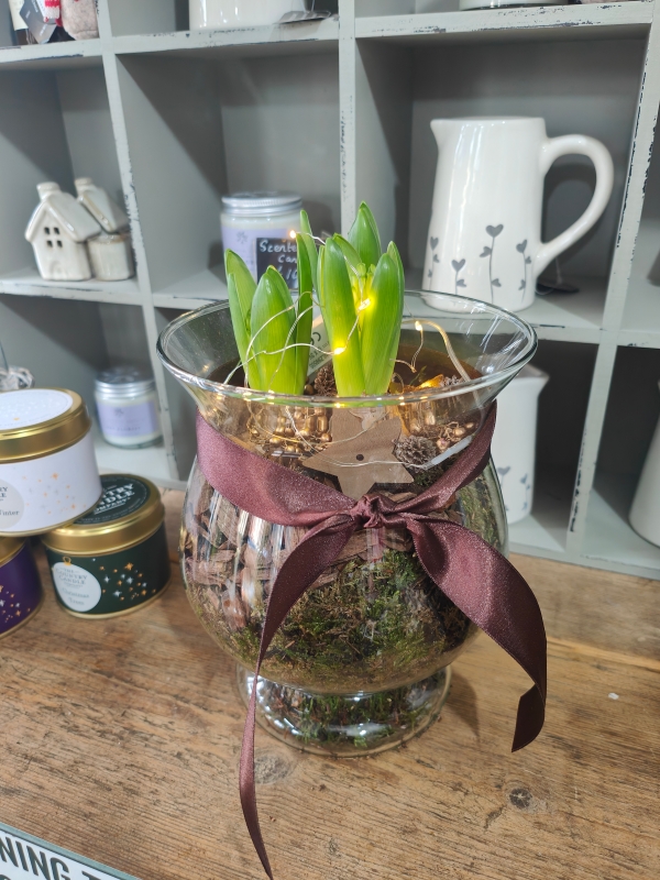 Light up Glass Hyacinth Planter