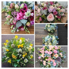 Posies