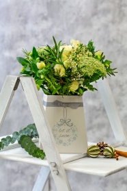 Christmas Flowers & Plants