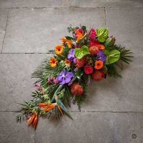 Vibrant Farewell