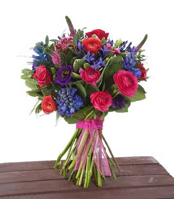 Hyacinth Delight