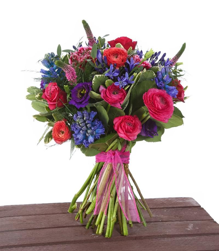 Hyacinth Delight