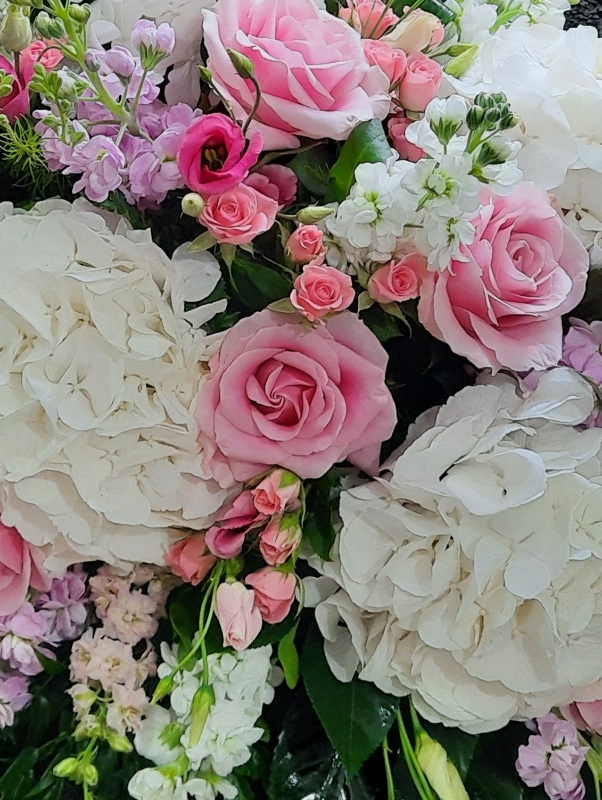 Hydrangea shop and roses
