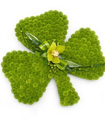 Shamrock