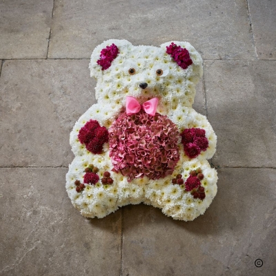Teddy bear