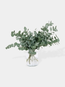 ECO EUCALYPTUS BUNCH