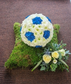 3D Football Moss Base