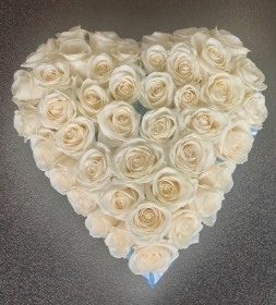 White rose heart