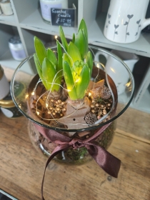 Light up Glass Hyacinth Planter