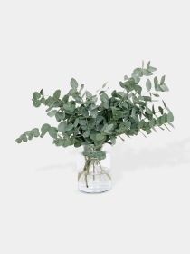 Hand tied Eucalyptus Bunch