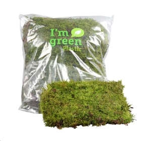 Moss