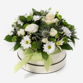 Neutrals Hat Box