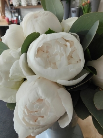 White Peony Hand tied Bouquet