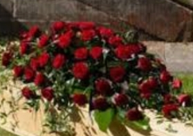Red Rose Casket Spray