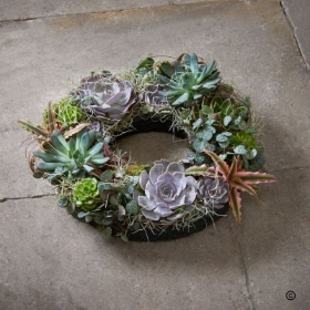 Succulent Planter