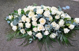 White roses casket spray